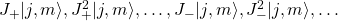 J_+\vert j,m\rangle, J_+^2\vert j,m\rangle, \ldots, J_-\vert j,m\rangle, J_-^2\vert j,m\rangle,\ldots