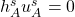 h_A^su^s_A=0
