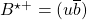 B^{\star +}=(u\overline{b})