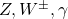 Z, W^{\pm}, \gamma