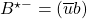 B^{\star -}=(\overline{u}b)
