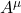 A^\mu