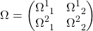 \begin{equation*} \Omega=\begin{pmatrix} \Omega^1_{\;\; 1} & \Omega^1_{\;\; 2}\\ \Omega^2_{\;\; 1} & \Omega^2_{\;\; 2}\end{pmatrix} \end{equation*}