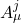 A_\mu^j