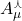 A_\mu^\curlywedge