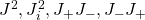 J^2,J_i^2,J_+J_-,J_-J_+