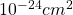 10^{-24}cm^2
