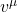 v^\mu
