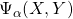 \Psi_\alpha(X,Y)