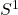 S^1