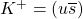 K^+=(u\overline{s})