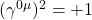 (\gamma^{0\mu})^2=+1