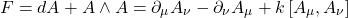\[ F=dA+A \wedge A = \partial _{\mu} A_{\nu} - \partial _{\nu} A_{\mu} + k \left[ A_\mu , A_{\nu} \right]\]