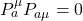 P^\mu_a P_{a\mu}=0