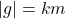 \vert g\vert=km