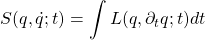 \begin{equation*} \displaystyle{S(q,\dot{q};t)=\int L(q,\partial_t q;t)dt}\end{equation*}