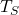 T_S