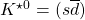 K^{\star 0}=(s\overline{d})