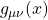 g_{\mu \nu}(x)