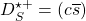 D^{\star +}_S=(c\overline{s})