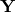 \mathbf{Y}