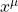x^\mu