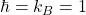 \hbar=k_B=1