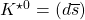 K^{\star 0}=(d\overline{s})
