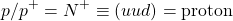 \begin{equation*} p/p^+=N^+\equiv (u u d)=\mbox{proton} \end{equation*}