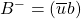 B^-=(\overline{u}b)