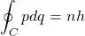 \begin{equation*} \oint_C pdq=nh \end{equation*}