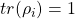 tr(\rho_i)=1