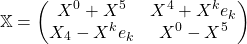 \[\mathbb{X}=\begin{pmatrix}X^0+X^5 & X^4+X^ke_k\\ X_4-X^ke_k & X^0-X^5\end{pmatrix}\]