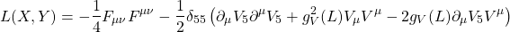 \begin{equation*} L(X,Y)=-\dfrac{1}{4}F_{\mu\nu}F^{\mu\nu}-\dfrac{1}{2}\delta_{55}\left(\partial_\mu V_5\partial^\mu V_5+g_V^2(L)V_\mu V^\mu-2g_V(L)\partial_\mu V_5V^\mu\right) \end{equation*}
