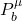 P^\mu_b