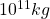10^{11}kg