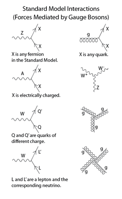 250px-Standard_Model_Feynman_Diagram_Vertices