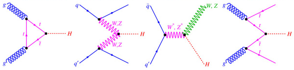 HiggsFeynmanGraphs